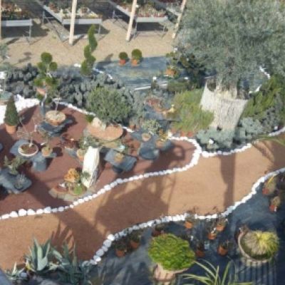 Centro de jardinería