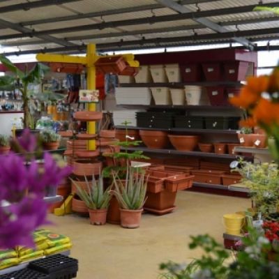 Centro de jardinería