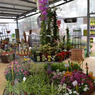 Centro de jardinería