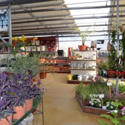 Centro de jardinería