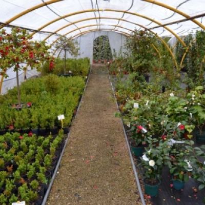 Centro de jardinería