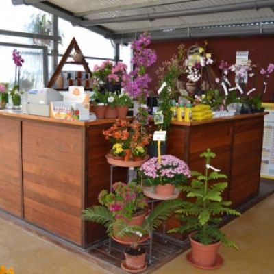 Centro de jardinería