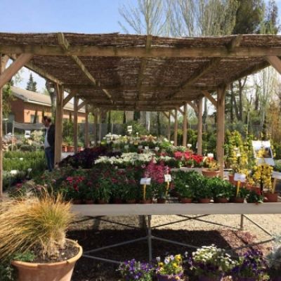 Centro de jardinería