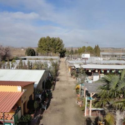 Centro de jardinería