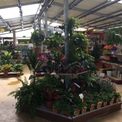 Centro de jardinería