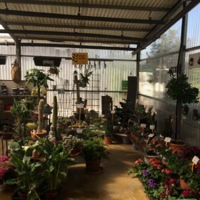 Centro de jardinería