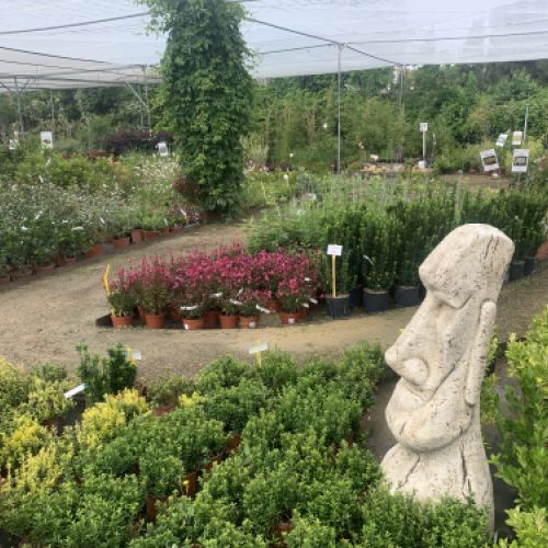 Centro de jardinería