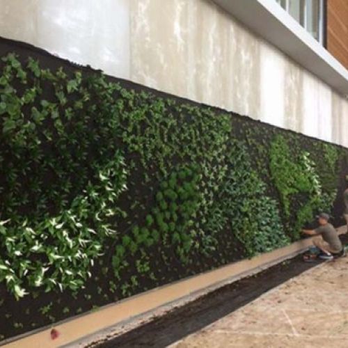 Grandes obras de jardinería