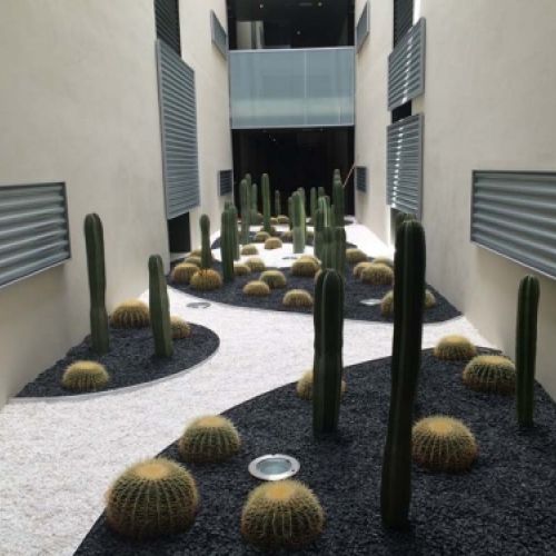 Grandes obras de jardinería