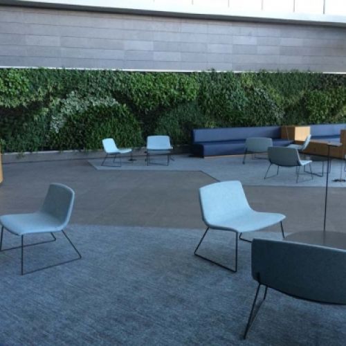 Grandes obras de jardinería