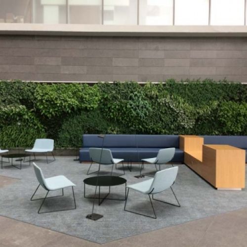 Grandes obras de jardinería