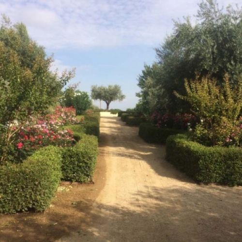 Grandes obras de jardinería