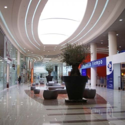 Grandes obras de jardinería