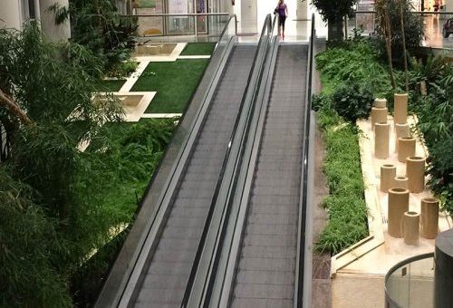 Mantenimiento de jardines en Madrid