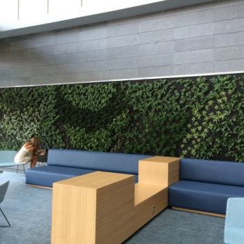 Proyectos jardinería Madrid