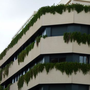 Proyectos jardinería Madrid