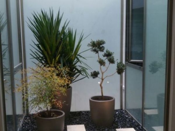 43bbb2c204f29aeb84f8b37fa00e769b