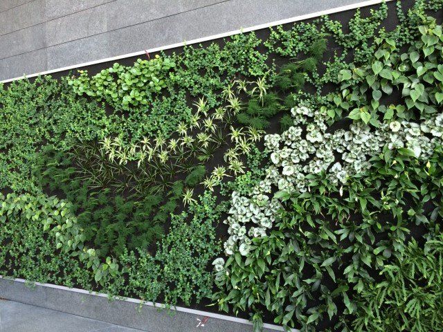 Proyecto de jardín vertical de interior